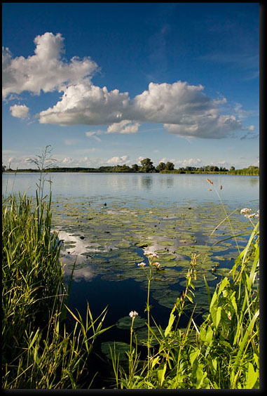 Typisch Hollands