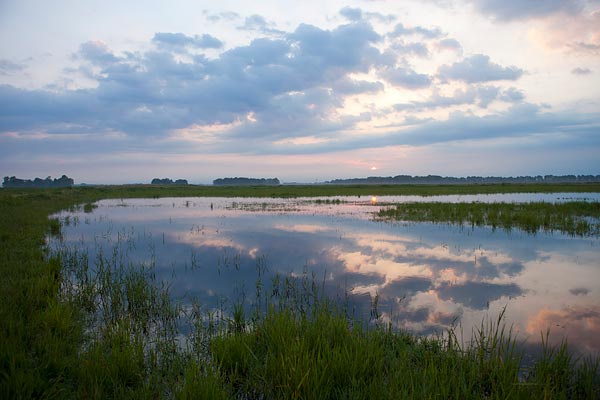 Plas-dras gebied bij Schokland