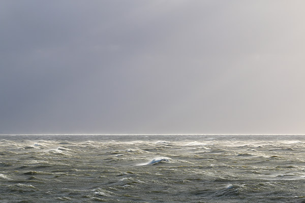 Weids landschap met mooi licht boven het IJsselmeer