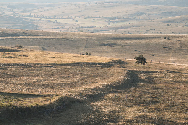 Het landschap op de causse Mejean