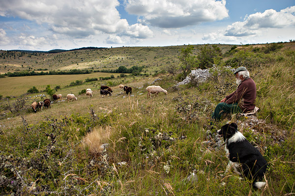 Schaapherder Avesque Christian op de causse Mejean