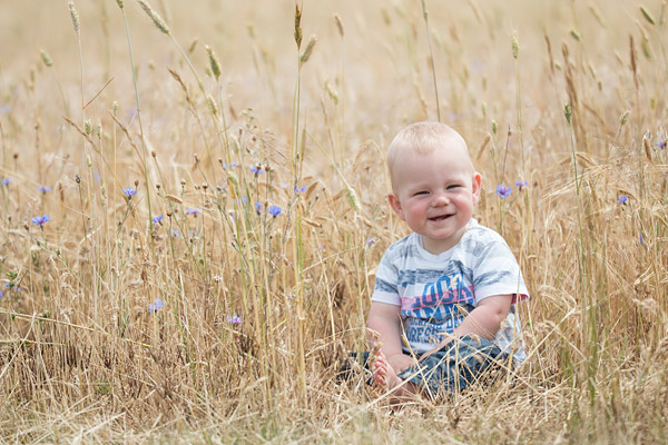 Daniel in een graanveld met wilde bloemen