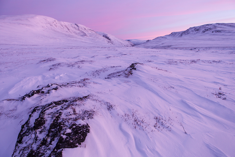 Zonsopkomst in een besneeuwd Dovrefjell