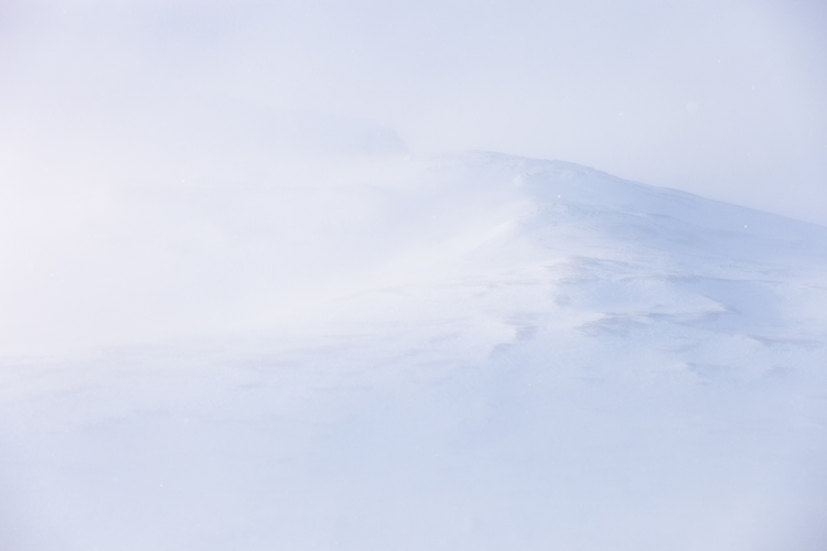 Stuifsneeuw in winters Dovrefjell