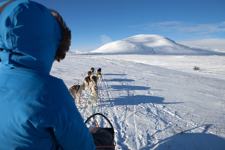 Dovrefjell in met sledehonden