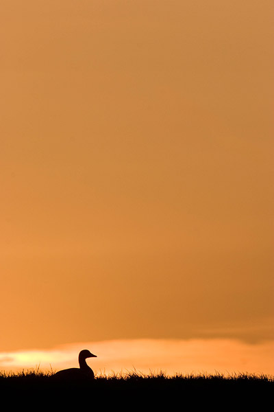 Zonsondergang