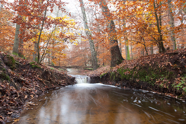 Herfstlandschap langs de Leuvenumse beek