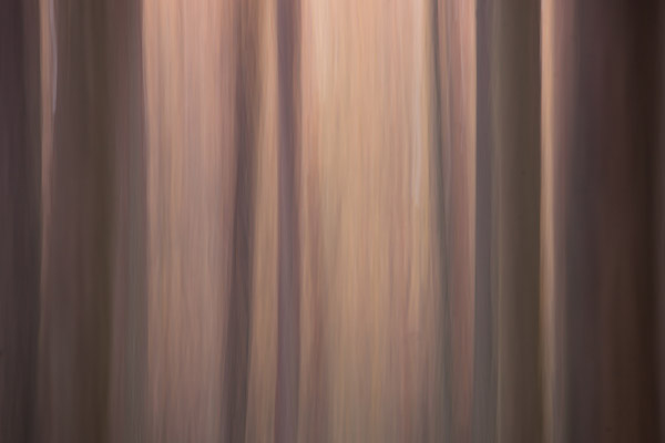 Abstracte opname van herfstkleuren met horizontale beweging en een lange sluitertijd
