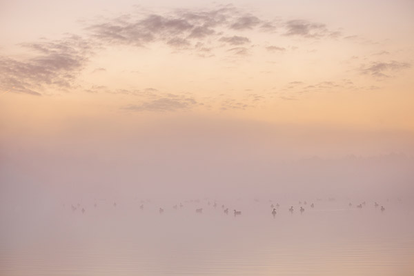 Zonsopkomst boven een ven in het Holtingerveld