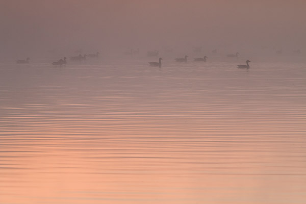 Zonsopkomst boven een ven in het Holtingerveld