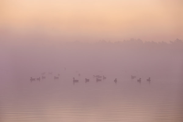 Zonsopkomst boven een ven in het Holtingerveld