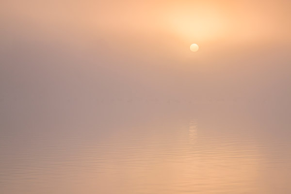 Zonsopkomst boven een ven in het Holtingerveld