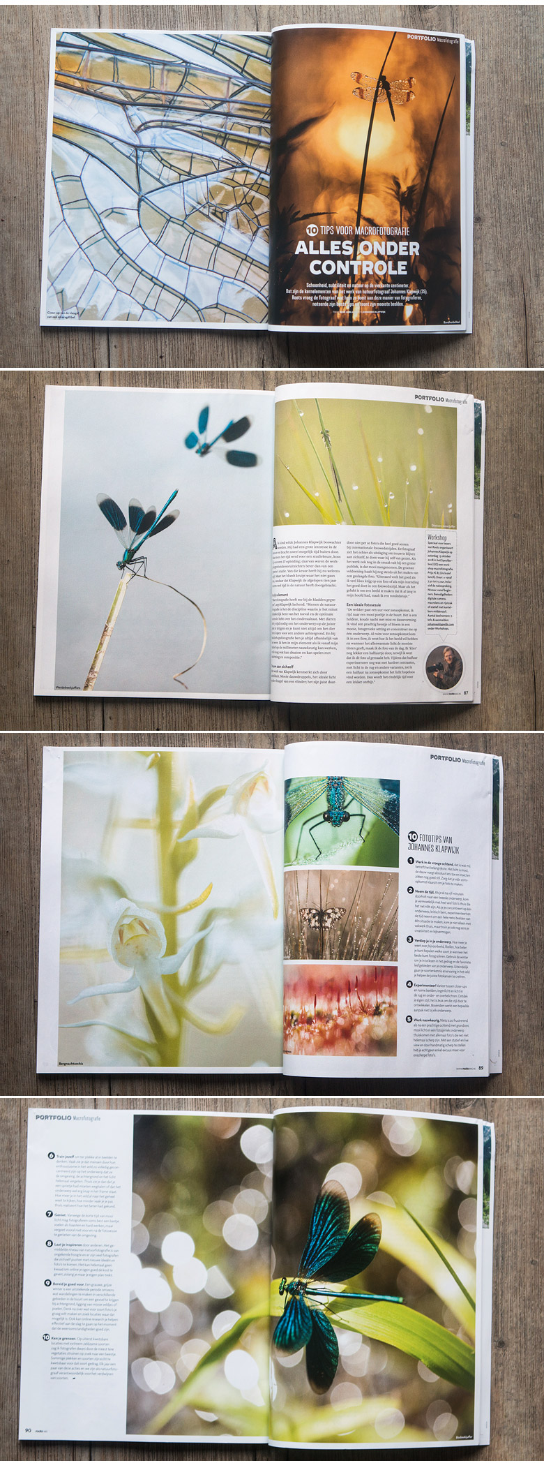 Portfolio publicatie in Roots magazine