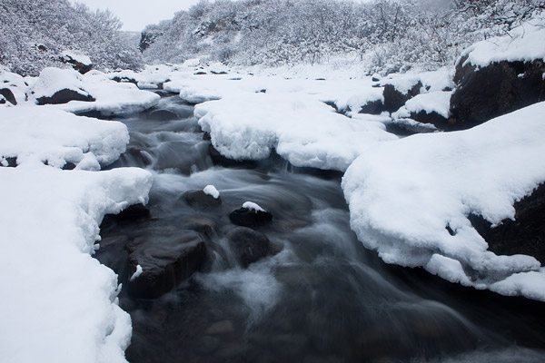 Besneeuwd stroompje in het Skaftafell nationaal park