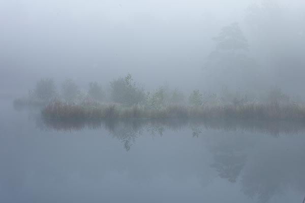 Mistige weerspiegeling op een ven in Drenthe