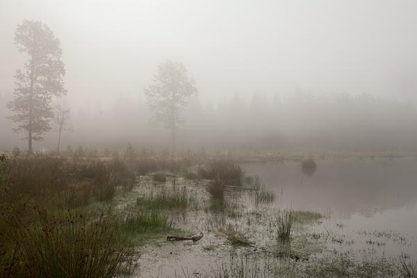 Opkomende zon door de mist