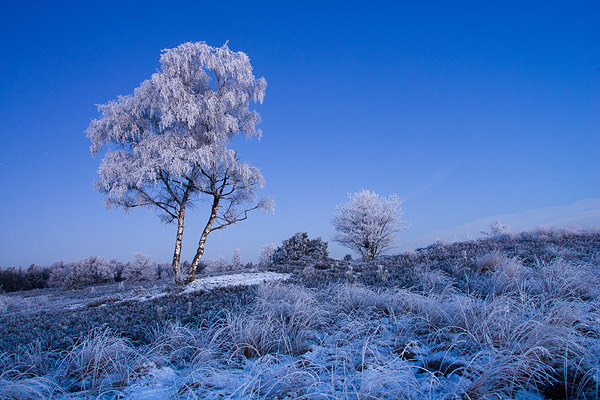 Een winters landschap met sneeuw en rijp.