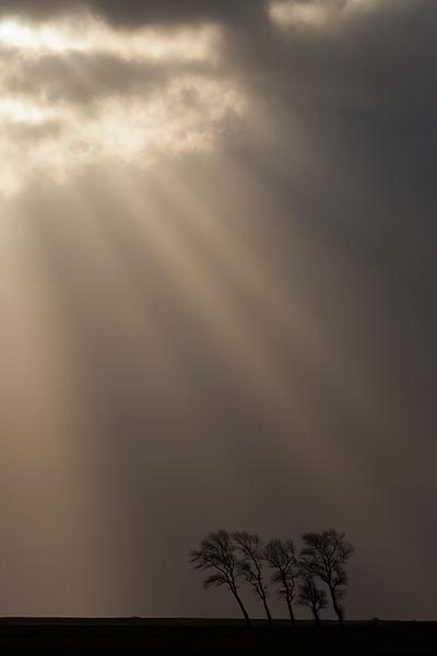 Zonneharpen in Friesland