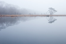 Kootwijkerveen in de mist