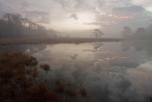 Kootwijkerveen voor zonsopkomst