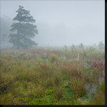 Drentse landschappen