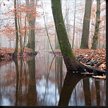 Leuvenumse beek