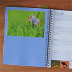 Opnieuw een plekje in de grasduinen agenda