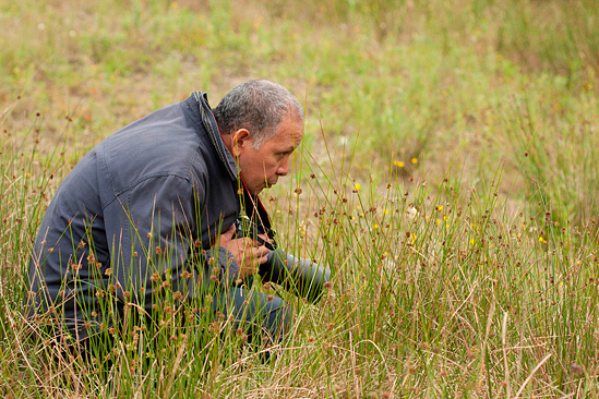 sfeerimpressie workshop macrofotografie