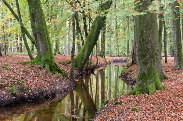 Hierdense beek gefotografeerd door Erik Peers