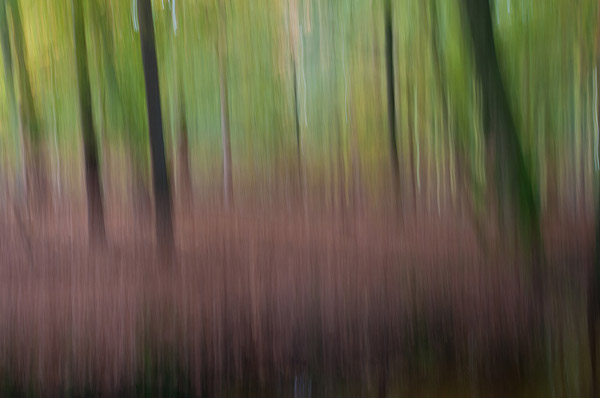 Abstract herfstlandschap van de hand van Mart Bevelander