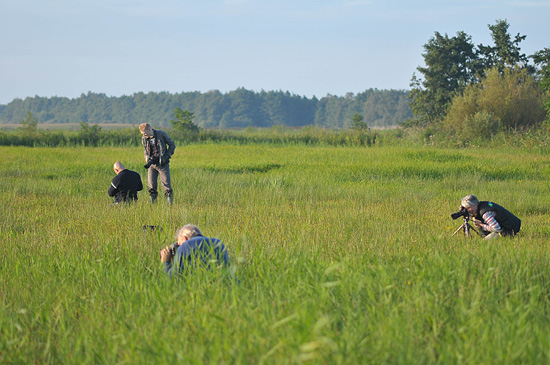 Workshop macro fotografie in de Wieden.