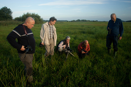 Workshop macro fotografie in de Wieden.