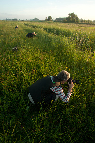 Workshop macro fotografie in de Wieden.