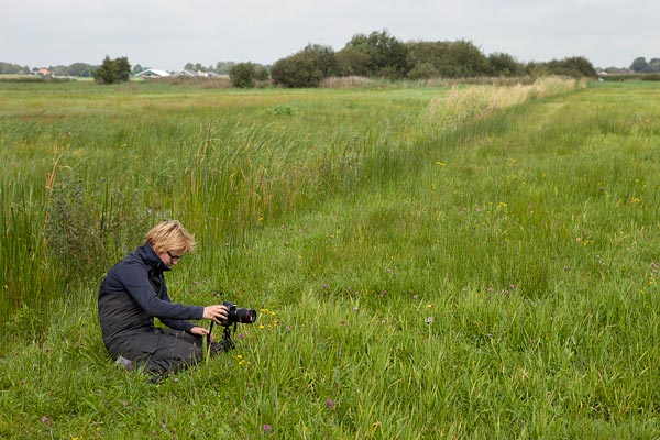 Workshop macrofotografie in de Wieden