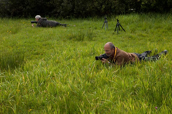 Workshop macrofotografie in de Wieden