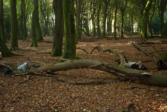 Workshop herfst fotografie