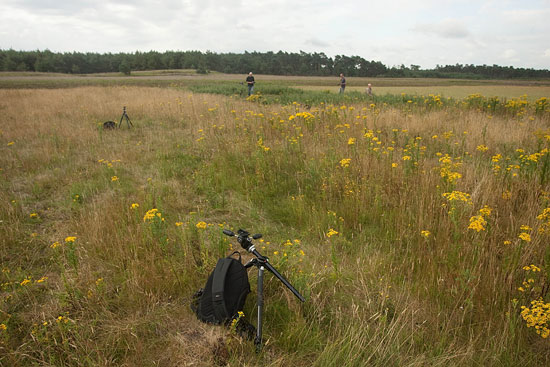 Indruk van mijn workshop vlinders fotograferen op de Hoge Veluwe.