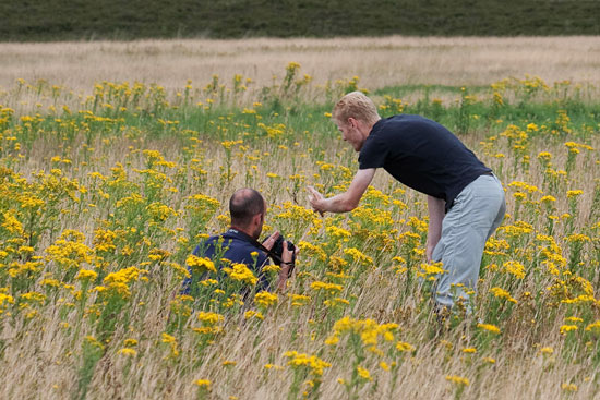 Indruk van mijn workshop vlinders fotograferen op de Hoge Veluwe.