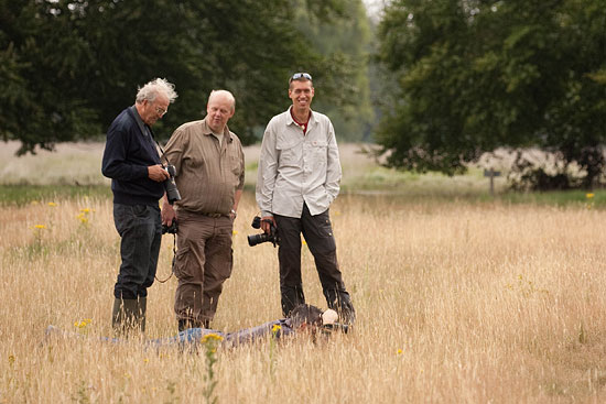 Indruk van mijn workshop vlinders fotograferen op de Hoge Veluwe.